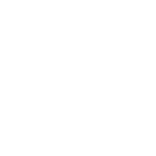 ninth waver brewery logo